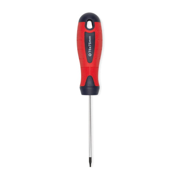 BR2824-TORX:DEST.CORTO T 30 (6X100MM) BREMEN®